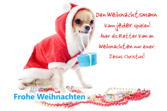 Christliche Weihnachtskarten mit Witz - vom Verlag Edition Katzenstein - www.editionkatzenstein.de